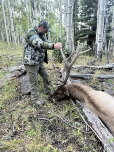 Elk Hunting